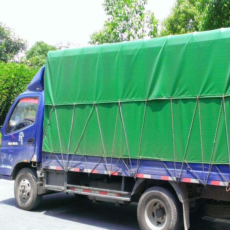 �����w������